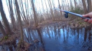 МЕТРОВЫЙ РУЧЕЙ ПОЛОН РЫБЫ! Эту рыбалку мы ЖДАЛИ целый год! Весенняя рыбалка на КЛЁВОМ РУЧЬЕ!