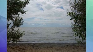 Кулундинский район Алтайского края