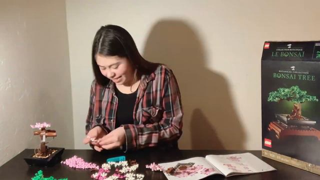 Building The Ultimate Bonsai Tree- A LEGO Challenge!😟 смотреть онлайн