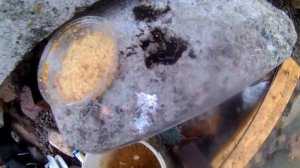 Рыбалка в Стрельна,донка,фидер,2017