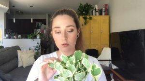 Plant Unboxing: Etsy and Amazon