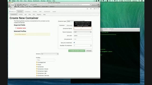 Developer Interviews (#DI 3) Christian Posta (@christianposta) on fabric8 смотреть онлайн