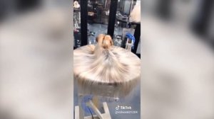 Смешные СОБАКИ из Tik Tok / Funny DOG from Tik Tok