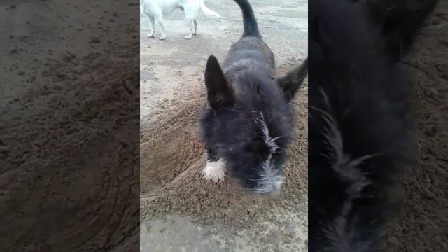 20 сентября 2016 г. смотреть онлайн