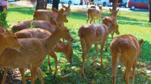 ПАТТАЙЯ 2023. 8 ФЕВРАЛЯ. ПОГОДА. КУРС ВАЛЮТ. ЛУЧШИЕ МЕСТА ДЛЯ ТУРИСТОВ. PATTAYA 2023