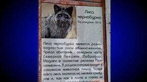 Ставрополь - Зоопарк