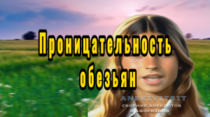 Проницательность обезьян