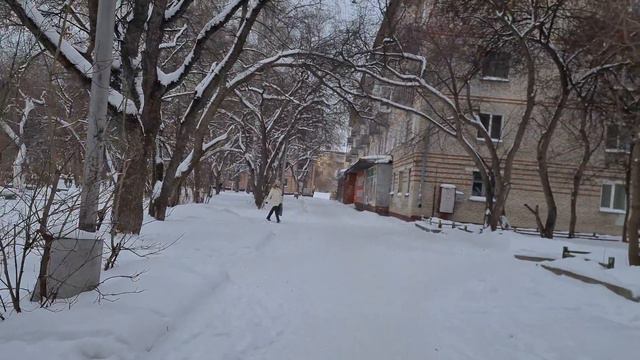 Сибирские просторы. Прогулки по Северску. #128