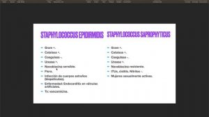 MICROBIOLOGÍA: STAPHYLOCOCCUS EPIDIRMIDIS & SAPROPHYTICUS - REVISIÓN RÁPIDA