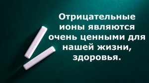 Сосновые или хвойные деревья. Сосна. Кедр. Ель. Пихта. Птица Кедровка.