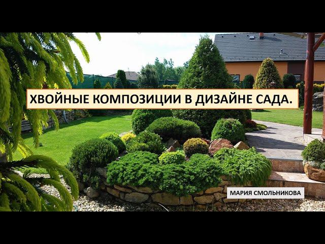 Хвойные композиции в дизайне сада.