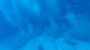Кипр июнь 2021: подводные съёмки на пляжах отелей Adelais и Cavo Maris