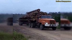 Тяжелые лесовозы Легенда лесозаготовок Nissan TZA 520 DIESEL - Старый грузовик с 1970-х годов