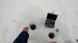 Февраль выезд за плотвой