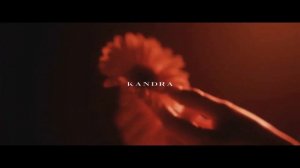 BOTTEGA VENETA FASHION PLAYLIST