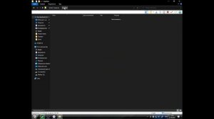 Не запускается Blood hunt, после настроек / amd fsr