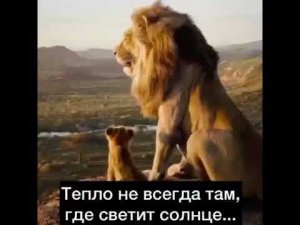 Мудрые слова...