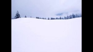 БЕЛЫЙ САВАН    Исполнение -  Вячеслав Анисимов