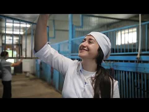 Ветеринары - врачи человечества