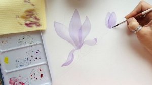 Как нарисовать прозрачный цветок акварелью, магнолия (how to draw a flower in watercolor)