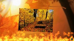 Багряная осень  . Рок острова .