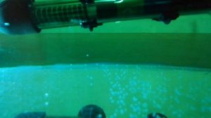 Как отделить погибшую икру от хорошей??