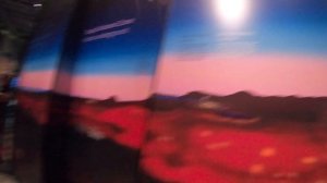 75. Увидел самого большого кальмара в мире. Музей Новой Зеландии Те-Папа-Тонгарева, Веллингтон