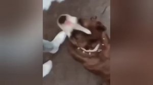 Сучка хочет кабеля