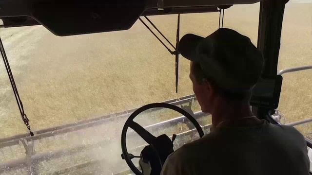 Подгоренский район