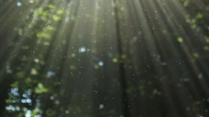 Медитация - "Благодарность телу" | Павел Юшкевич