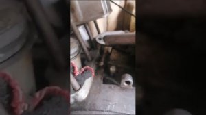 ИЖ Юпитер на ростовских поршнях. Спустя 1300 км