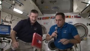 Кувырок Джанибекова