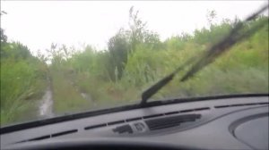 ягоды грибы