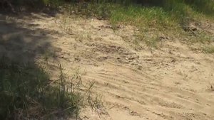 Проект. Востановление питбайка Mikilon 125. 1 часть.