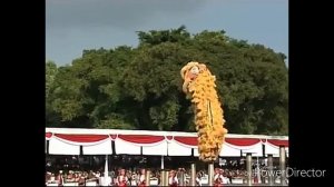 Barongsai Kong Ha Hong perform di Istana Negara Indonesia