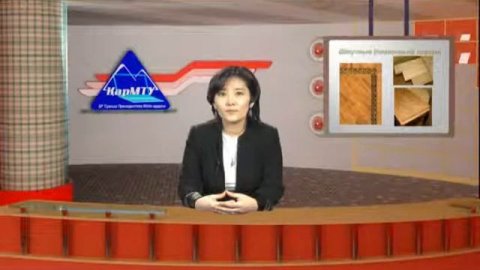 Видеолекция Отделочные материалы на основе древесины