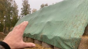 Осенние заботы