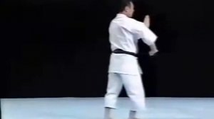 Шито-рю каратэ.Ката Сейпай.Seipai Shito Ryu