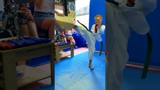 Taekwondo Kicks/Children