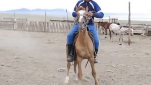 Тыва. Тес-Хем кожуун. Шара-Нуур.