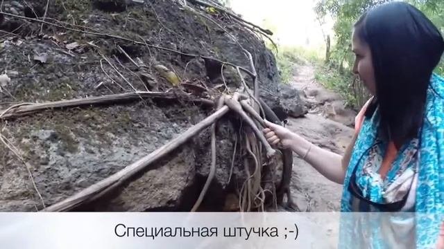 Штучка Дедушки Хо