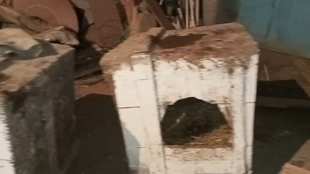 переделка простых гнёзд в гнёзда с яйцезборником смотреть онлайн