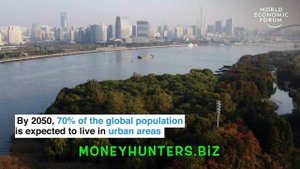 Вертикальная ферма - Бизнес Идея 2020