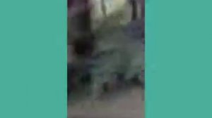 РЫБАЛКА НА РЕКЕ ВОРЯ, КРАСОТИЩЕ И ПРИРОДА НЕОПИСУЕМАЯ!