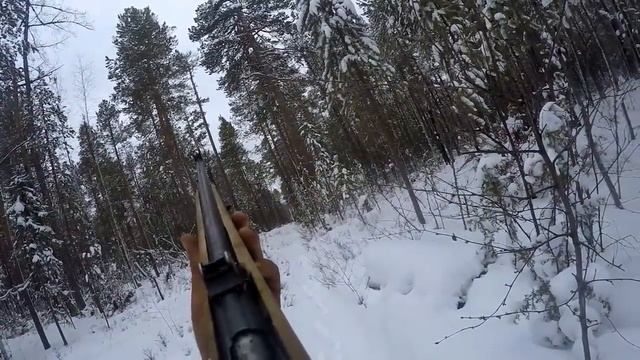 Регион 88 | Ещё глухарь на счету Жуки смотреть онлайн