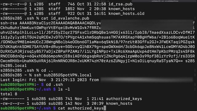[ASMR] Ramble on Basic Server-Security (Linux) смотреть онлайн