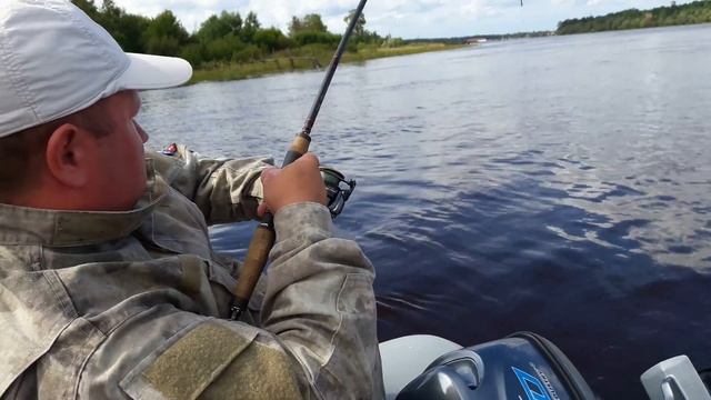 Сом 14 кг. Лен. Область. смотреть онлайн