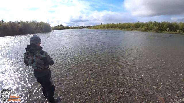 Много рыбы не беру/ Как поймаю, отпущу.