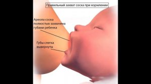 50 мифов о грудном вскармливании.