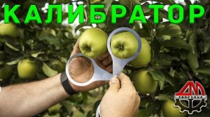 Калибратор